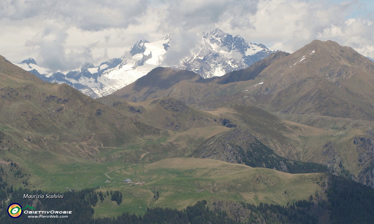 41 I Piani dell'Avaro e il Monte Disgrazia....JPG